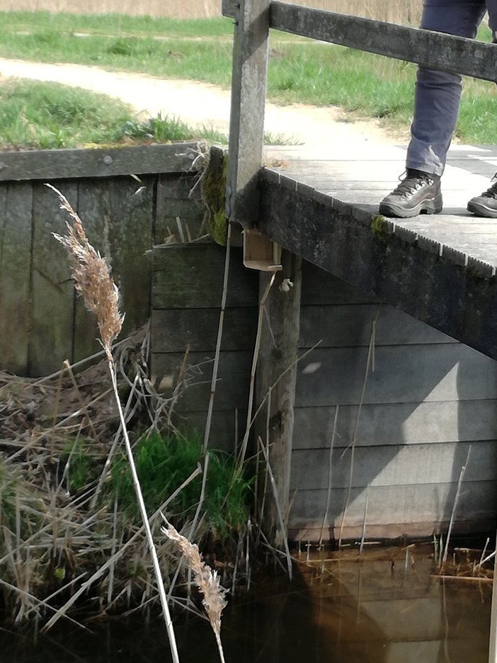 Landhoofd onder voetbrug in de Bergierslanden