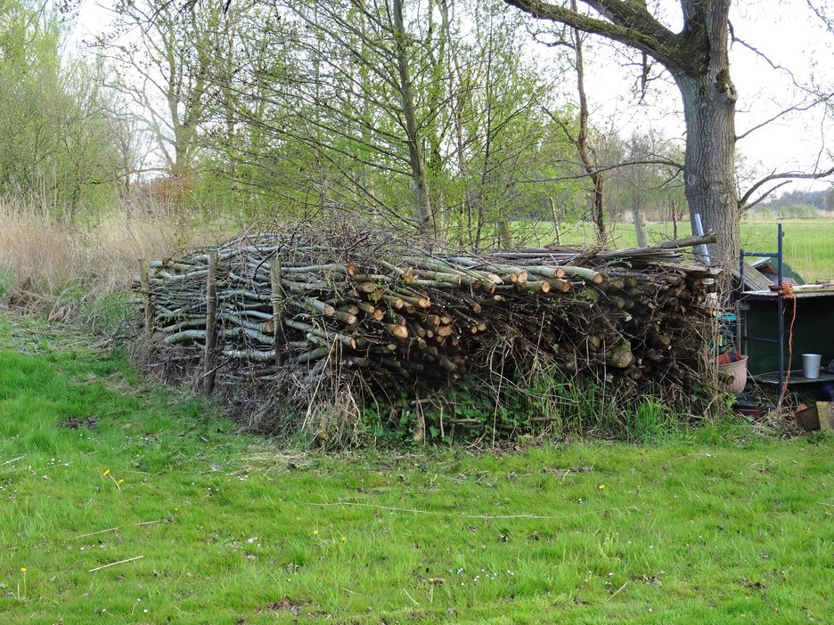  jaarlijks vul ik deze grote takkenril bij, broedplaats voor vele vogels.