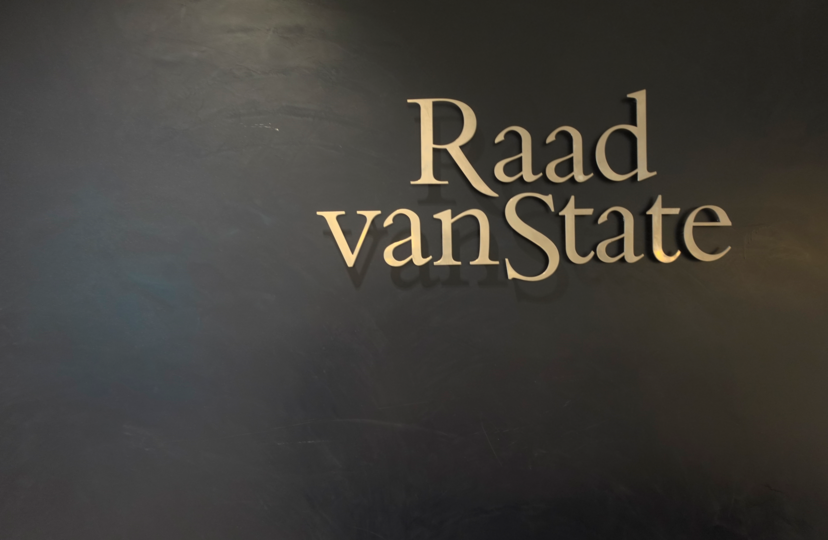 (m21869-blog-PIP-Lemselermaten/Raad-van-State-naam-balie-thumb.png)